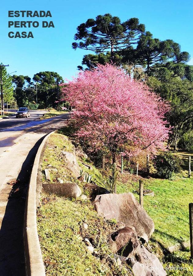 Suites Nas Nuvens Premium Gramado Eksteriør bilde